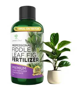Professional Liquid Fiddle Leaf Fig Plant Fertilizer