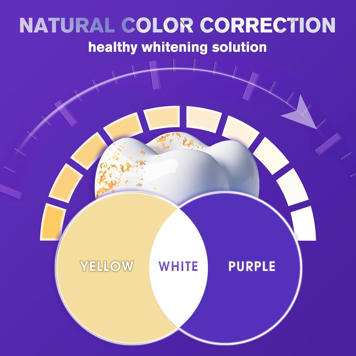 Purple Teeth Whitening Strips, 90-Day Long Lasting White, Enamel Safe Low Sensitivity, Non-Slip Dry Strip Technology, Professional Whitening for Coffee/Tea/Wine Stains, 28 Count (1 Pack)