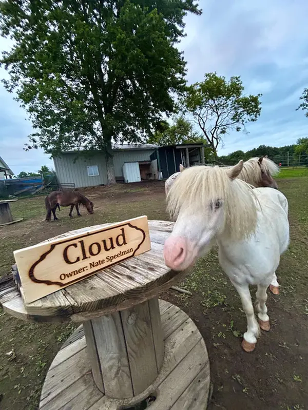 Cloud Personalized Name Wooden Horse Stall Sign - Handmade Rustic Decorative Barn Wall Plaque, Wood-Engraved Lettering, Weatherproof Durable Outdoor/Stable Gate Decor with Mounting Hardware for Horse Owners