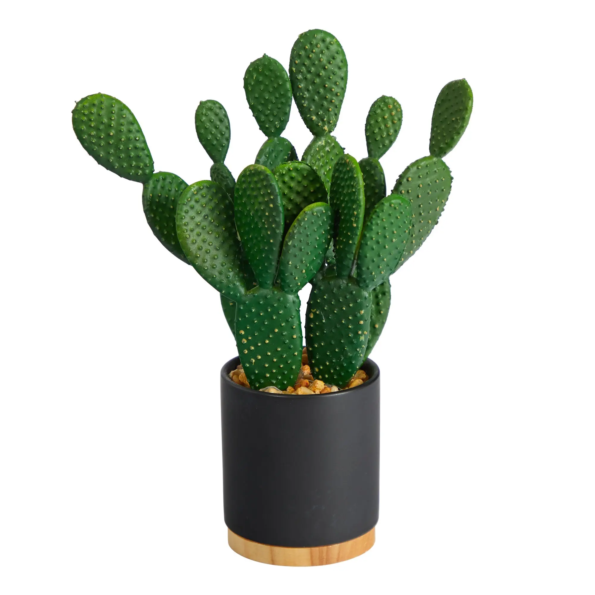 10-in Decorative Artificial Cactus Succulent Plant in Cactus Plant Flower Pots, Indoor Home Decor Supplies