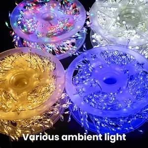 Led Fairy Light String, 65.6 Ft (Approx. 20 Meters) With 600 Led Bulbs, Adjustable Warm Light/Cool Light/Rainbow Colors, Usb-Powered Remote-Controlled Firefly Lights, Perfect For Holidays, Weddings, Parties, And Birthday Celebrations