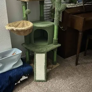 review image 11