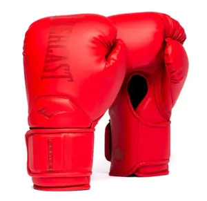 Everlast Elite 2 Pro Hook & Loop Boxing Gloves