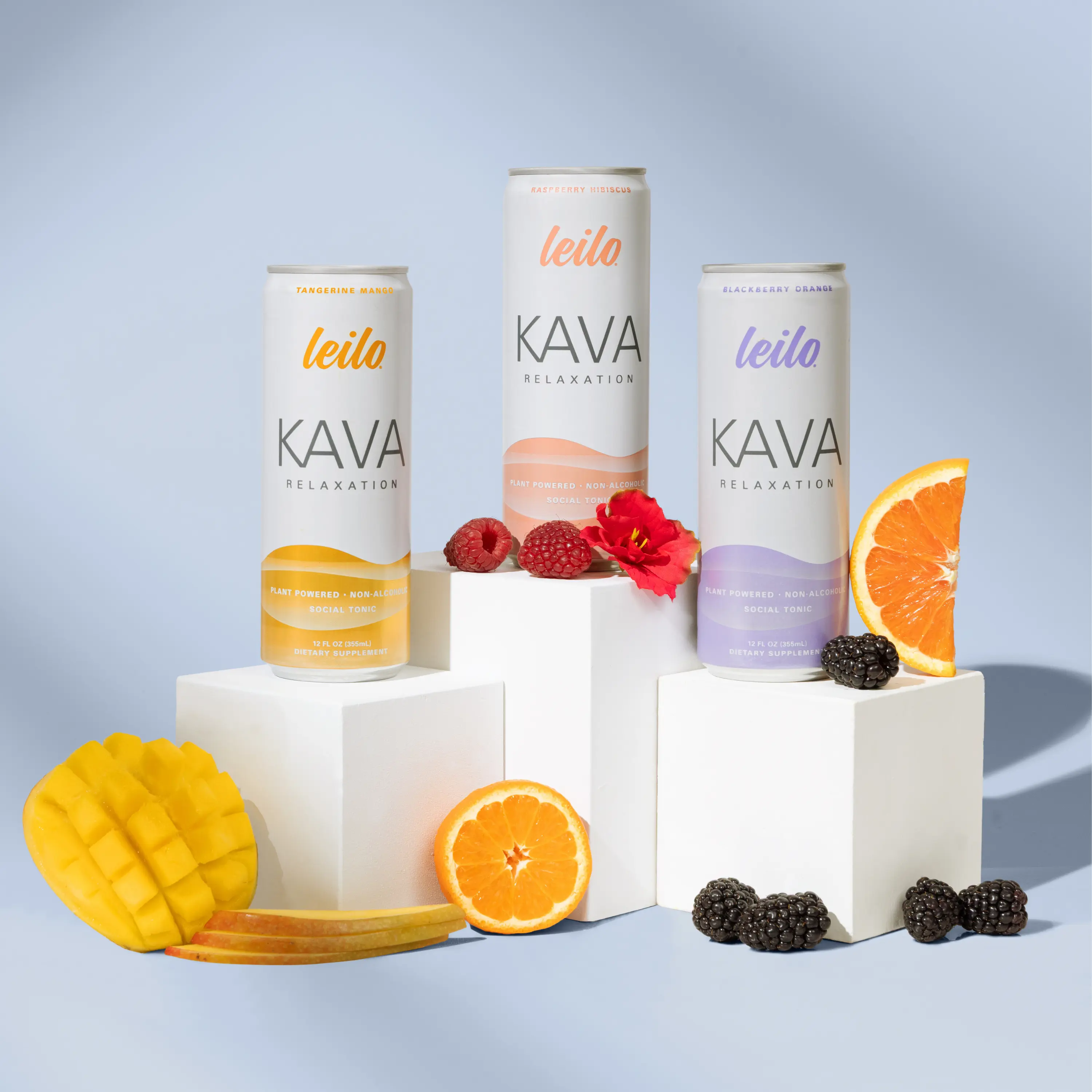 Leilo Kava Relaxation Drink Variety Pack - 12 Cans | Non-Alcoholic Functional Beverage with Kava & L-Theanine | Gentle Relaxation Support