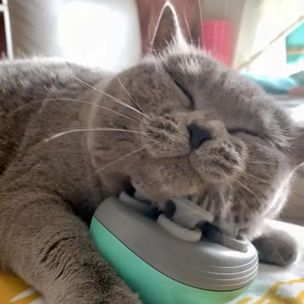 Electric Pet Massager for Relaxation and Healthier Coat
