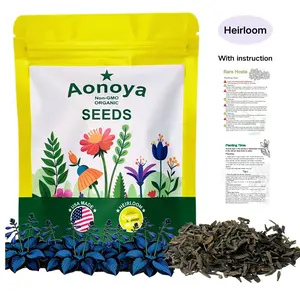 【Buy 2 Get 1 Free】Hosta Seeds Perennial Shade Plant for Garden and Yard Non-GMO USA Made with Instructions for Easy Care and Versatile Growth