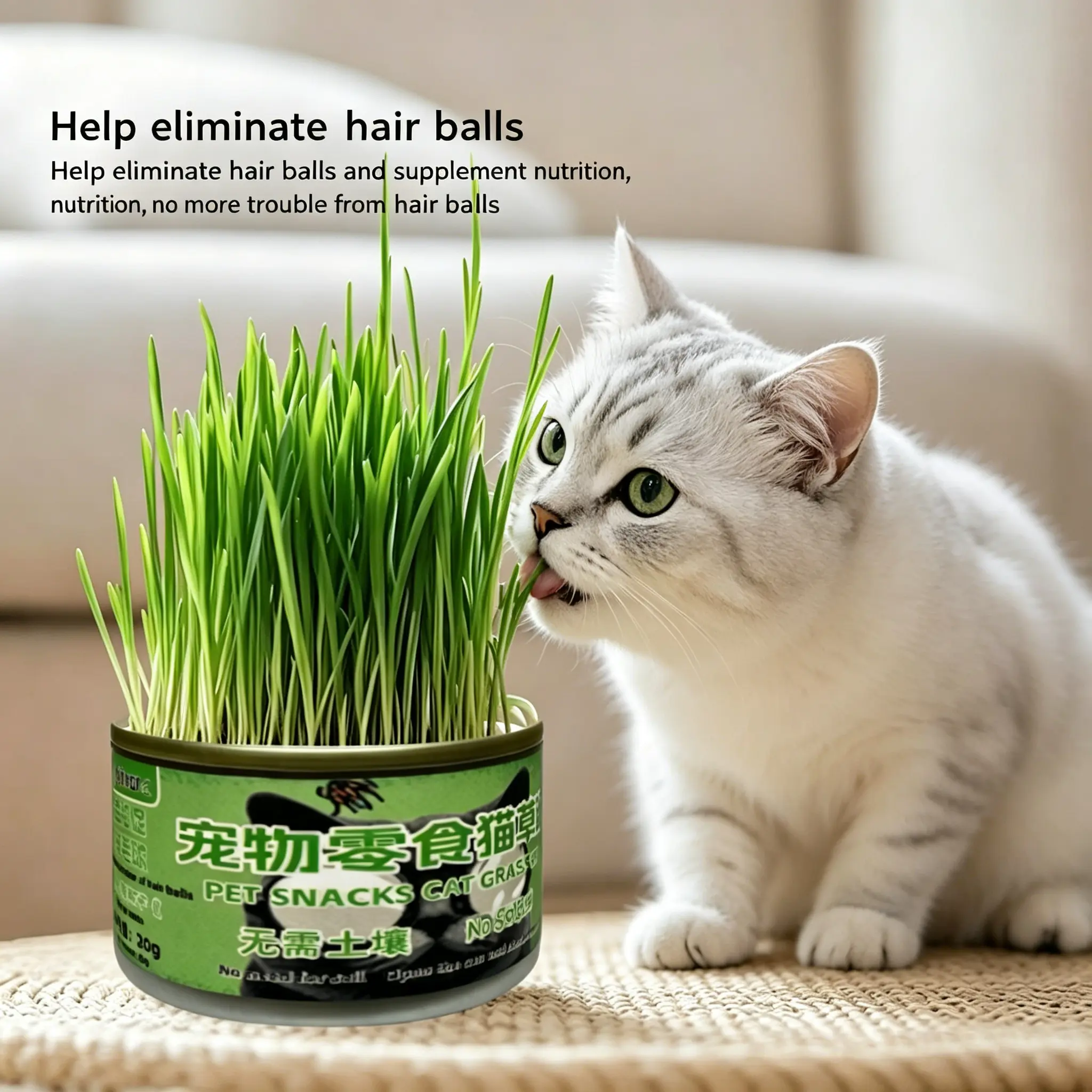Cat Grass Growing Kit for Indoor Cats, Wheatgrass Seeds Can with Soil, Grow Fresh Cat Grass at Home, Easy Water-to-Grow Natural Cat Treat, Gift for Cat Lovers