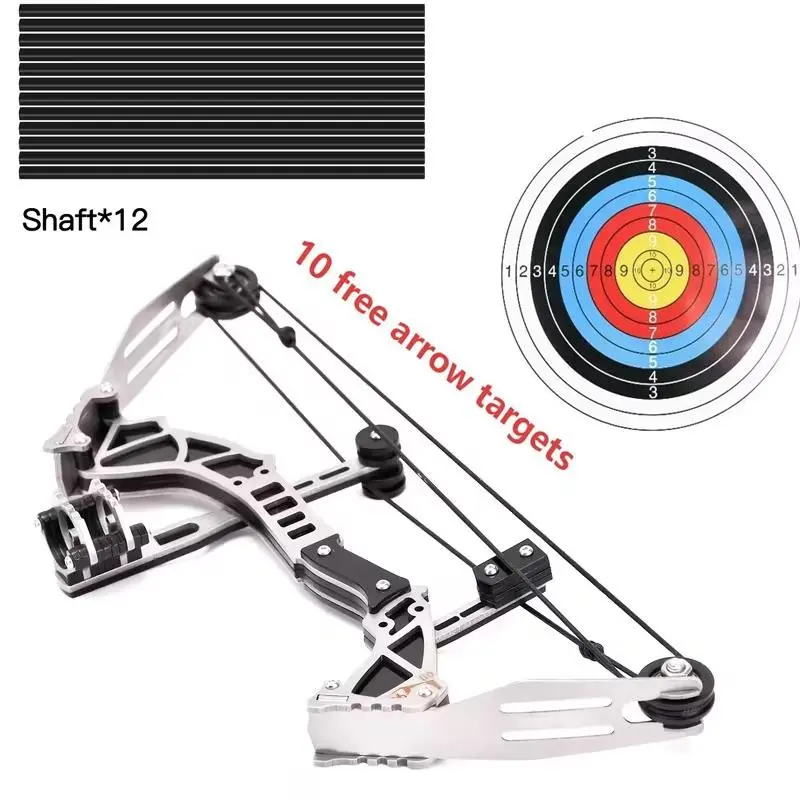 9.5 Inch Mini Bow and Arrow Set with Adjustable Draw Weight, High Precision Targeting Kit with 12 Durable Aluminum Arrows for Outdoor Fun and Training