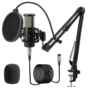 ALABS Condenser XLR Microphone,with 25mm Diaphragm,Professional Recording Kit for Music Production,Singing, Vocals, Studio Microphone with Audio Mount