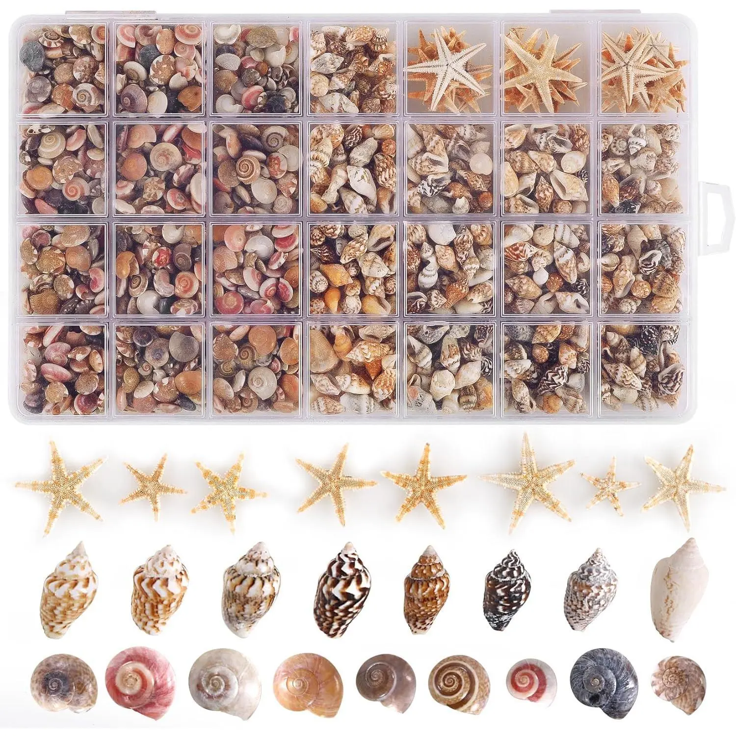 F-HDJ07 Carefully Selected Mini Sea Shell Craft Kit - 60 Tiny Starfish, 1800 Tiny Spiral Conchs for Shell Crafts, Hawaiian Beach Theme Wedding Decorations, Wall Art, DIY Beading & Jewelry Making