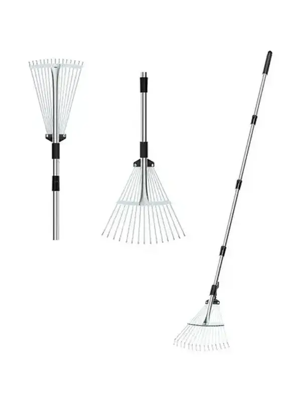 rake