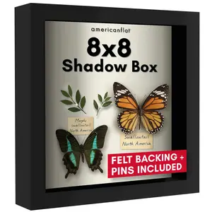 Shadow Box Frame | Deep Keepsake Display | Shatter-Resistant Glass | Wall Decor