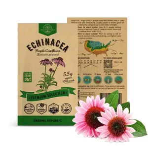 Echinacea Seeds Pack 5.5G