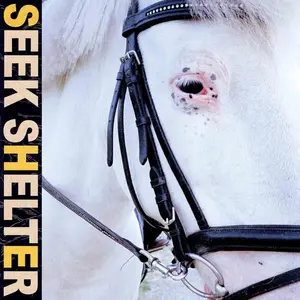 Iceage - Seek Shelter  [VINYL RECORD - LP]