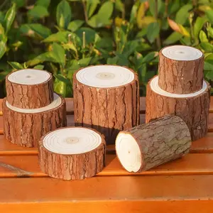 Natural Wood Tree Stump Display Stands, Rustic Wooden Pedestals for Home Decor