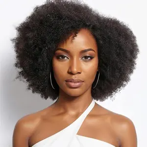 Haloqueen 14 Inch Afro Kinky Curly Wig Short Curly Wig Human Hair for Black Women 250% Density 13x4x2 HD Lace Frontal Wig for Daily Use with Natural Hairline Affordable Wig
