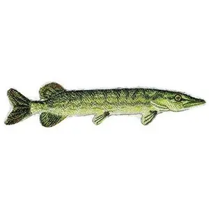 Nature's Bounty Beautiful Custom Fish Portraits [ Northern Pike Fish ] Embroidered Iron On/Sew Patch (6.86" x 2") Made in USA]