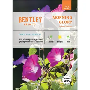 Morning Glory Seed Packets