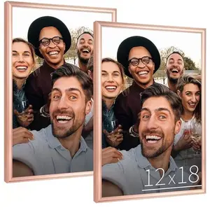 2 PK Anozie 12x18 Picture Frame Rose, 12 x 18 Picture Frames with HD Plexiglass