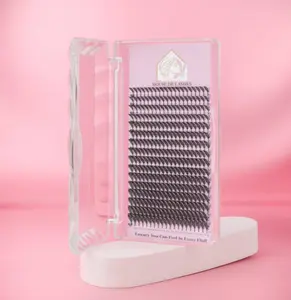 Ani-ME Lash Extensions Signature Spike Collection
