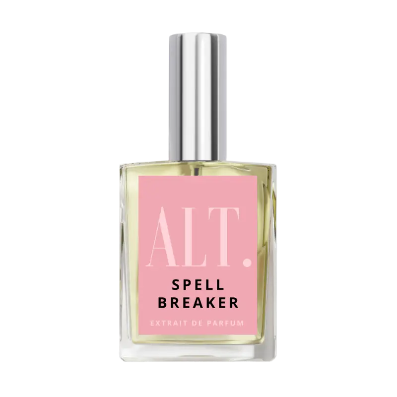 Spell Breaker Spell Breaker