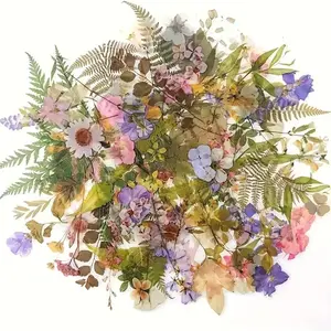 Mixed Color Floral and Plant Sticker, Decorative Stickers, 40pcs/set Self-adhesive Plastic Decal, Irregular Shape Flower Stickers for Scrapbooking, Journaling, Art Crafts, DIY Projects