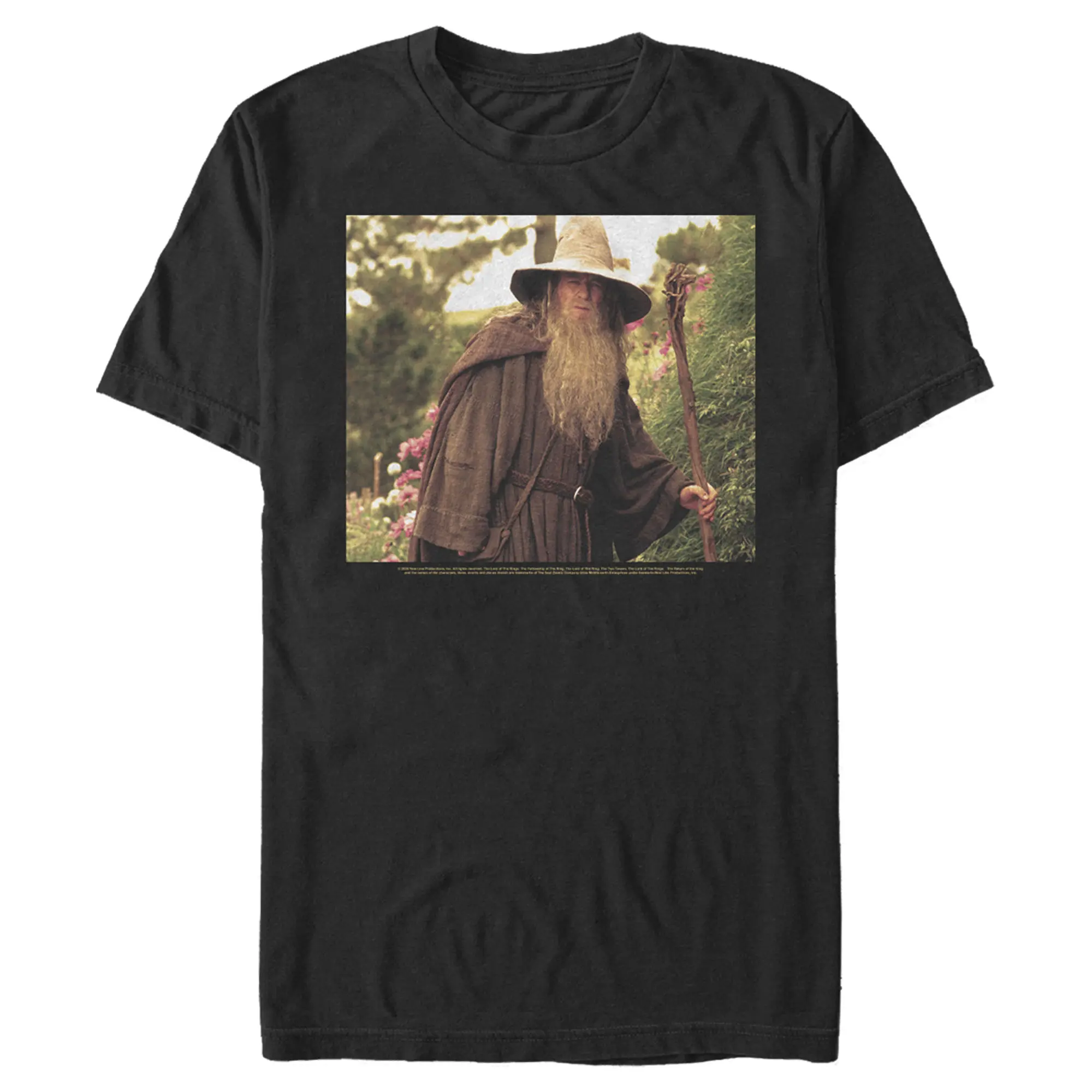 Men's The Lord of the Rings Fellowship of the Ring Travelling Gandalf T-Shirt
