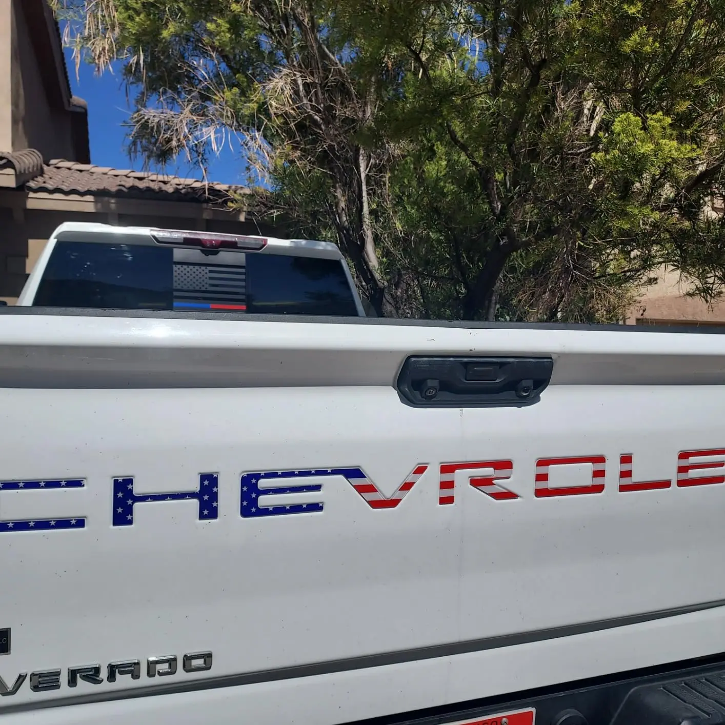 Globys 3D Raised Design Tailgate Insert Letters Emblem Compatible for 2019-2024 Chevy Silverado 1500 2500 HD Durable Decal Letters for Tailgate Customization