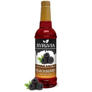Syruvia Blackberry Syrup – 25.4 fl oz, Kosher, Gluten-Free. Perfect for enhancing drinks, sodas, shakes, desserts, and more
