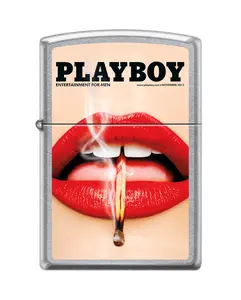 Playboy November 2013 Cover Zippo Lighter