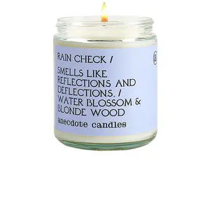 Anecdote Candles Rain Check Glass Jar Candle