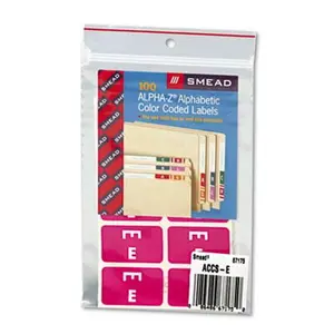 Smead 67175 Alpha-Z Color-Coded Document Labels, Letter E, Purple, Pegboard-Compatible, 10 Labels per Sheet, 10 Sheets per Bag (100 Total per Pack)