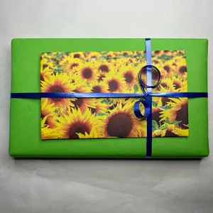 Light Reading Bundle - blind date with a book