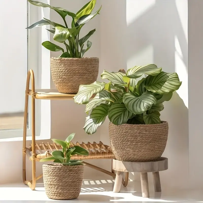 Three Sets of Decorative Indoor Plant Pots, Natural Flower Pot Covers, Stylish Planter Baskets for Home Decor, Rattan Planter, Indoor Planters, Planter Pots for Indoor Plants