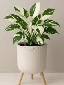 Self-watering Planter with Water Level Signal and Wooden Legs - White Pot for Home Decor