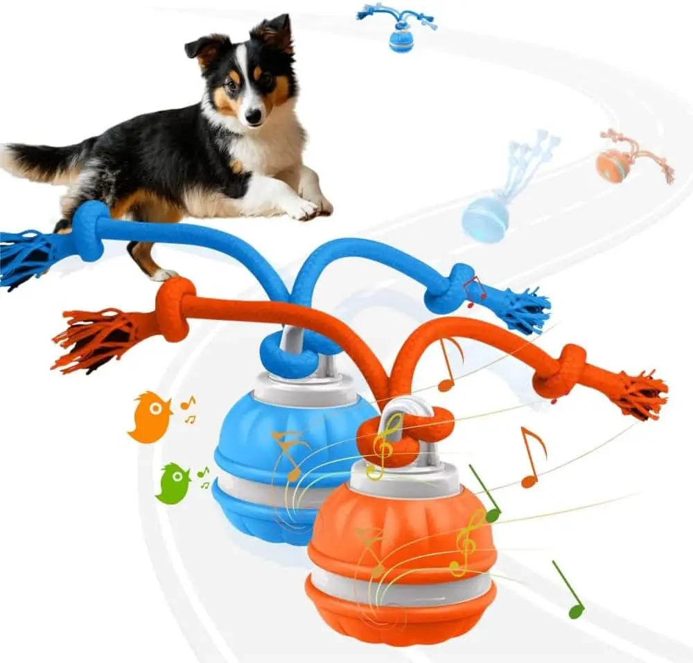 Dog Interactive Training Ball - Rechargeable Self-Moving Pet Toy with Built-In Bird Sounds, Moving Beads, Auto Roll for Puppies, Small Dogs Indoor-Outdoor Active Play & Entertainment, Ball Toy