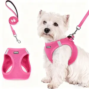 1pc Dog Harness and Leash Set, Breathable Mesh, Reflective Night Wear, Soft Lightweight Pet Vest, Suitable for Small Dogs, Puppies