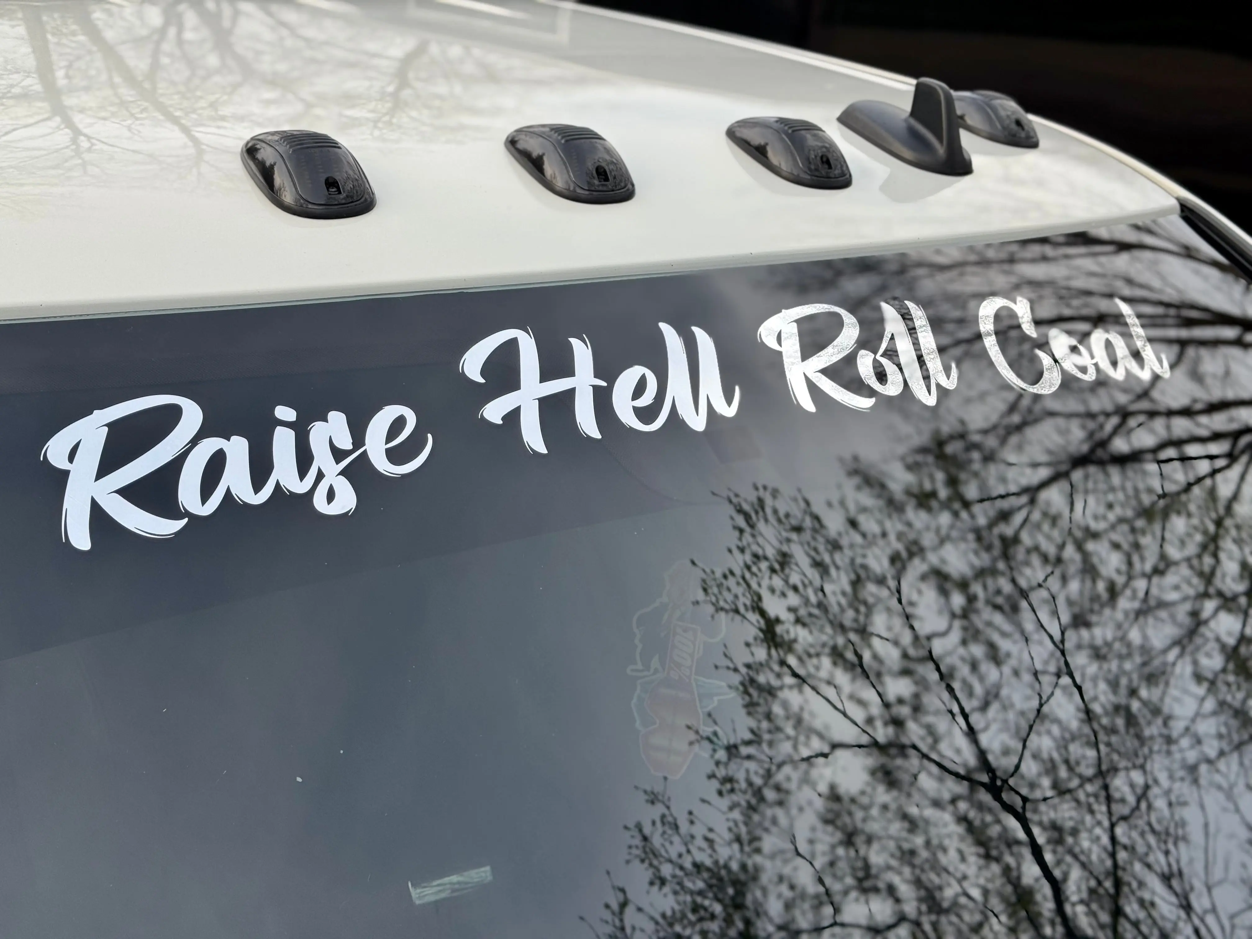 WINDSHIELD BANNER