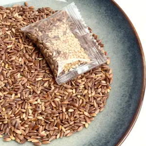 [2025 New] 200Pcs Mixed Rose Seeds – Colorful Garden Rose Seed Variety for Outdoor Planting | Non-GMO Flower Seeds for Home Garden