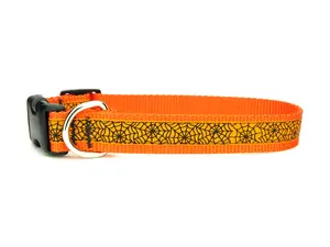 Halloween Dog Collar with Orange Spider Webs on Orange - Spooky Pet Costume Accessory - Halloween Puppy Collar - Spider web dog collar