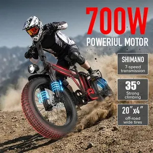 20-inch adult double-seat folding electric bicycle, equipped with a 700W high-speed motor, with a maximum speed of 20 miles per hour.