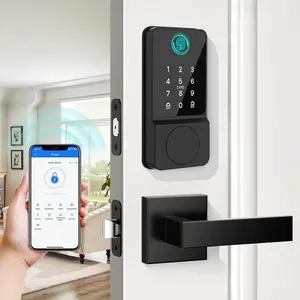 Door Lock Set Touchscreen APP IC Card Key Type-C Charging Unlocking with 2 Handles 6 in 1 Biometric Deadbolt for Front Doors Apartment