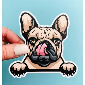 Peeking French Bulldog Sticker 4” x 4” Brown Peeking Bulldog with Paws Frenchie Sticker