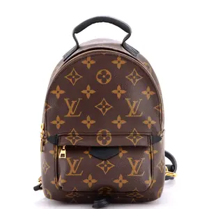 Pre-owned Louis Vuitton Canvas Coated Backpacks Palm Springs Backpack Monogram Canvas Mini by Rebag