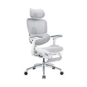 SIHOO C300 Pro V2 Ergonomic Office Chair with Dynamic Lumbar Support, Adjustable Backrest & Footrest, Breathable Mesh Desk Chair for Home Office summerwins