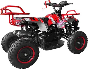 Chipek Children's Multi-functional Toy Car (Suitable for children aged 6-15) - Youth Toy Car (red), children's four-wheel balance car, safe and stable operation, suitable for outdoor play and exploration activities.