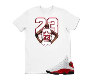 AJ13 Chicago Black Red Match Shirt, MJ Number 23 Graphic Tee, 90s HipHop Tee, Unisex T-Shirt, Cozy Gift