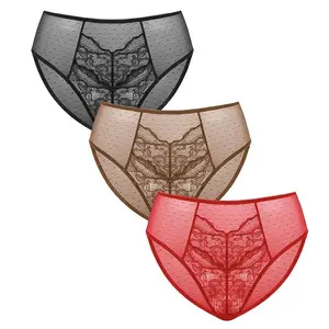 【3 Pack】HSIA Floral Soft Lace Comfortable Mesh High-Rise Brief Underwear TikTokShopBlackFriday SpringStatements