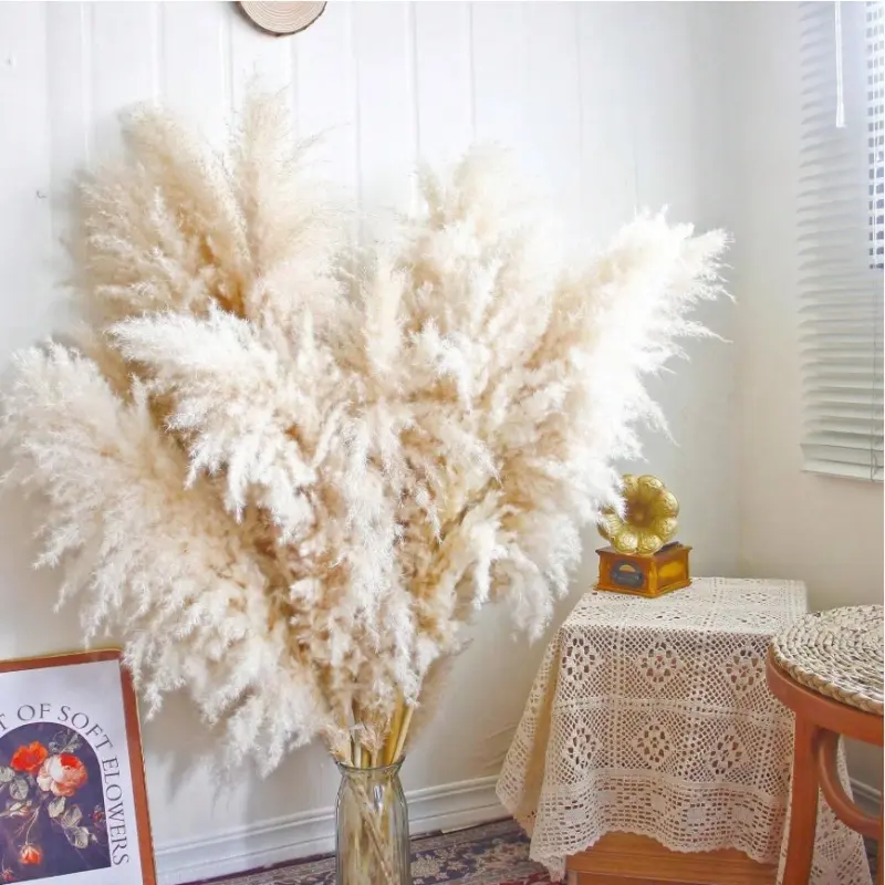 40in Tall Natural Dried Pampas Grass (16/20 Stems) - Fluffy Plant Decor, Floral Decor for Floor Vase, Dining Area, Farmhouse Boho Living Room