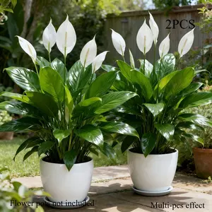 2 Large Realistic Artificial Plants Suitable for Home Wedding Decor - Low-Maintenance Plastic Fake Flowers with White Blooms & Green Foliage, /Outdoor Decoration for Spring, Mother's Day Centerpieces, Year-Round Use for Home or Hotel, House Plants Decor